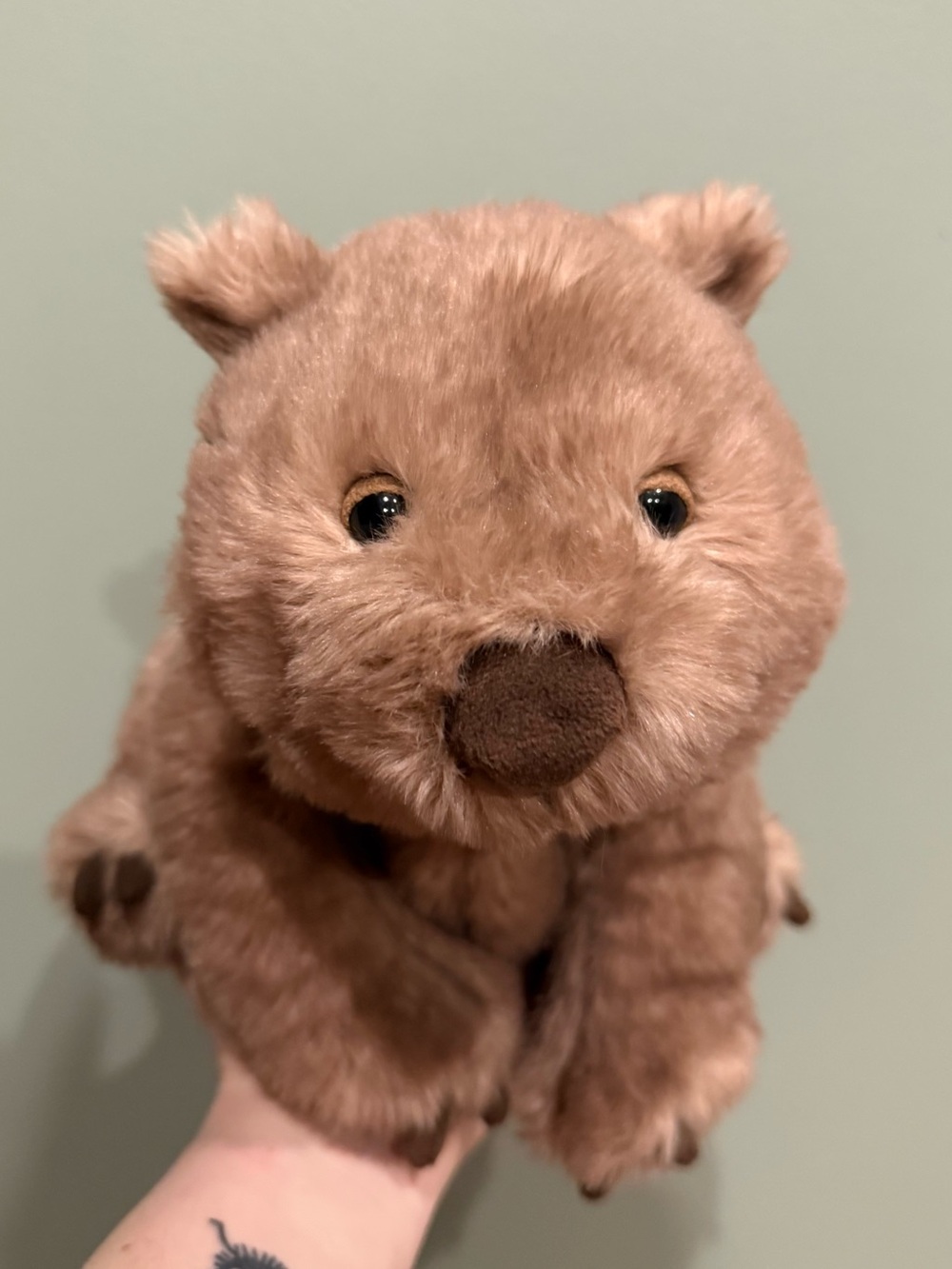 Jellycat Wonda Wombat BNWT ✨ Rare & Sold Out - Authentic - FAST SHIPPING!